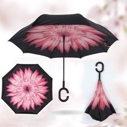 Obrázok z Obrátený dáždnik - kvetina