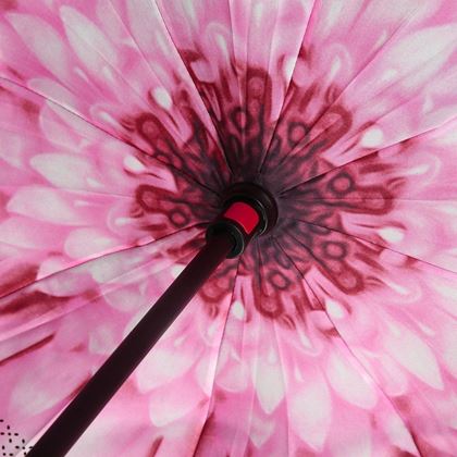 Obrázok z Obrátený dáždnik - kvetina