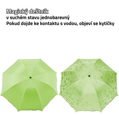 Obrázok z Magický dáždnik - limetkový