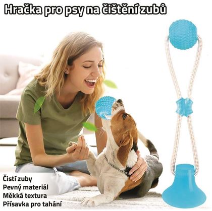 Obrázok z Hračka pre psov na čistenie zubov