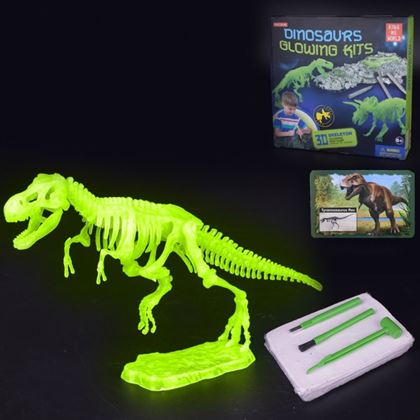 Sada pro malé archeology -Tyranosaurus Rex 
