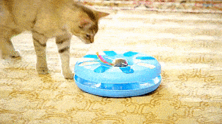  Interaktivní kočičí hračka