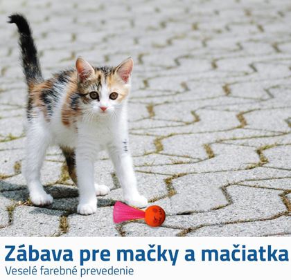 Loptička pre mačky 