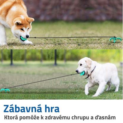 dentalni hracka
