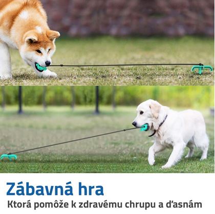 dentální hračky pro psy
