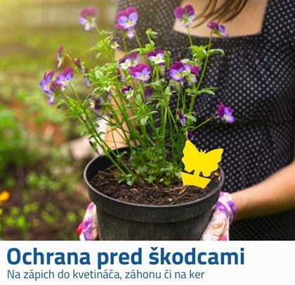 Ochrana rastlín