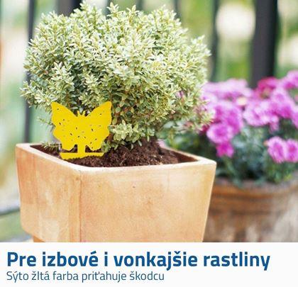 Lapač hmyzu