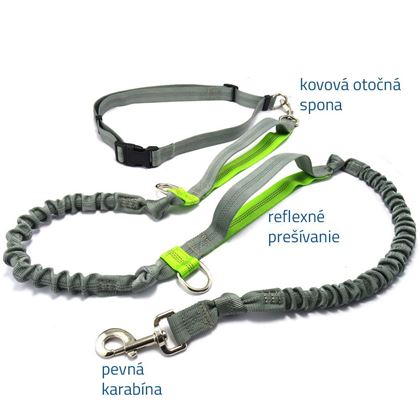 Vodítko pre psov