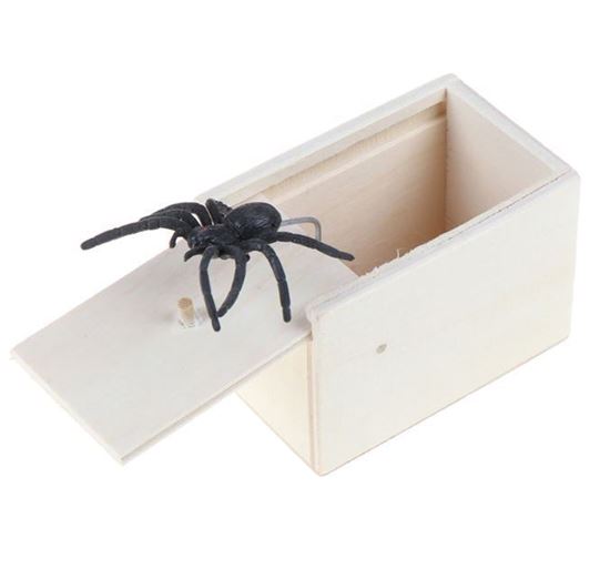 Obrázok z Pavúk v krabičke