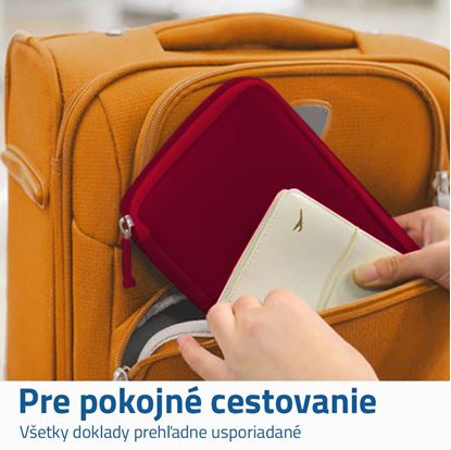 Cestovní organizér 