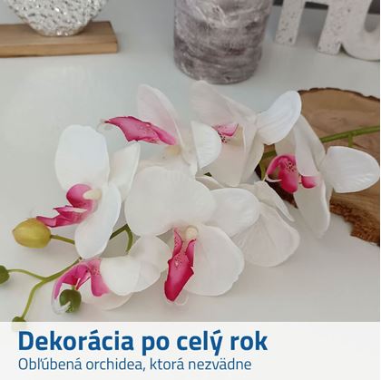 umělá orchidej