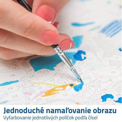 malování podle čísel