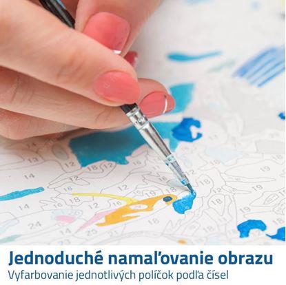 malování podle čísel