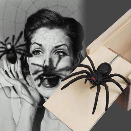 Obrázok z Pavúk v krabičke