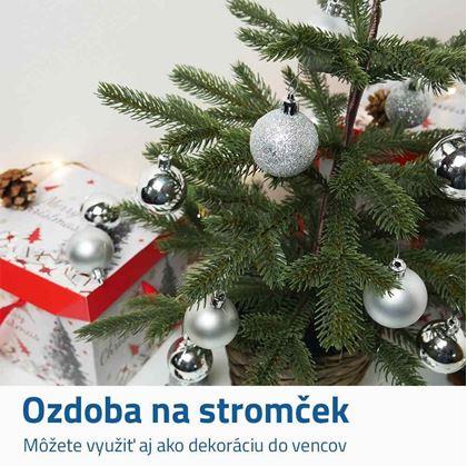 Obrázok z Sada vianočných ozdôb 24 ks - strieborné