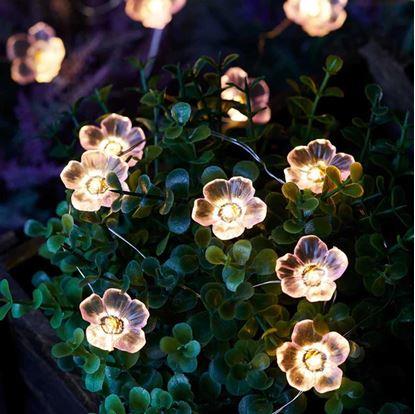 Obrázok Solárna svetelná reťaz - kvety