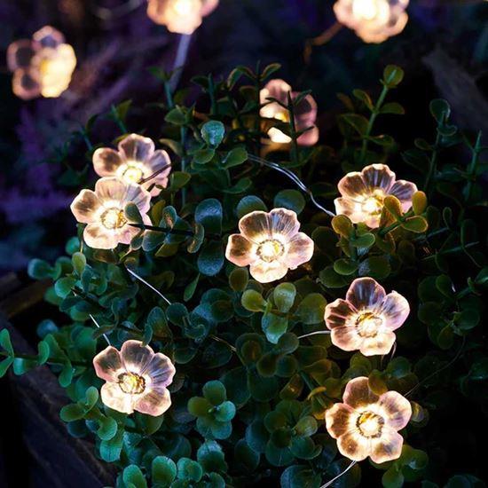 Obrázok z Solárna svetelná reťaz - kvety
