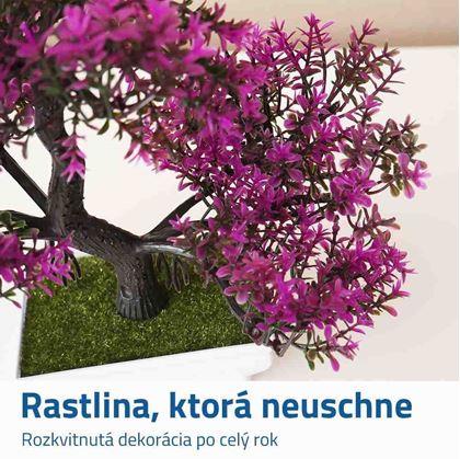 Obrázok z Umelá bonsaj - fialová