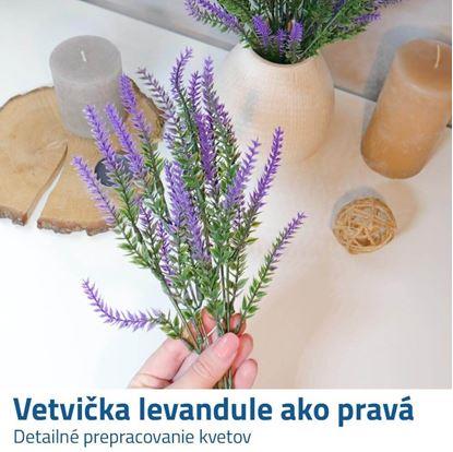 umělá levandule