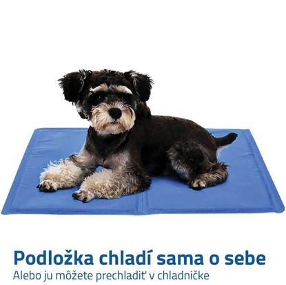 Chladící podložka pro psy 40 x 30 cm