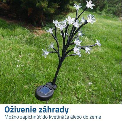 Solární zápich strom