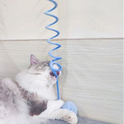 Obrázok Pružinová hračka pre mačky s loptičkou