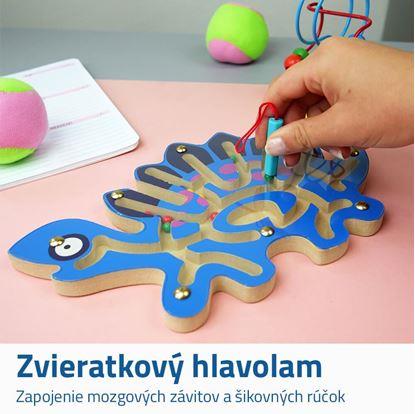 Obrázok Magnetické bludisko