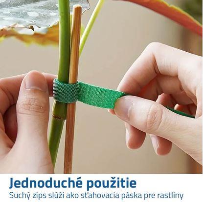 Obrázok Sťahovacia páska na rastliny