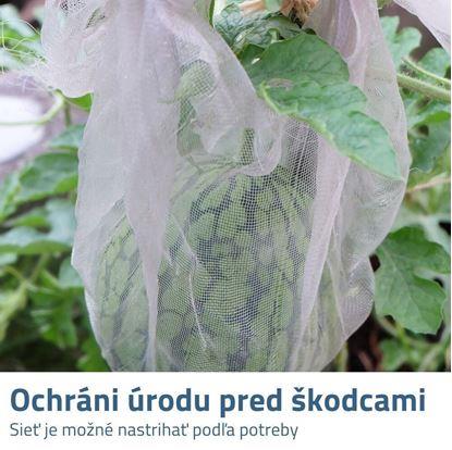 sítě proti hmyzu