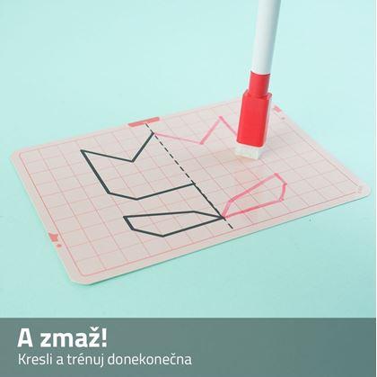 Sada obrázků symetrické kreslení - svět kolem nás