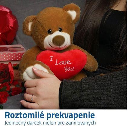 Obrázok z Plyšový medveď - Milujem ťa