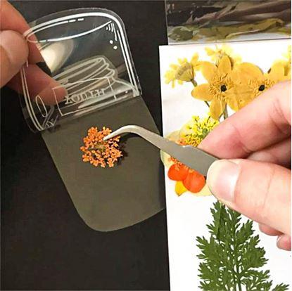 Obrázok DIY herbár - samolepky na sušené kvety