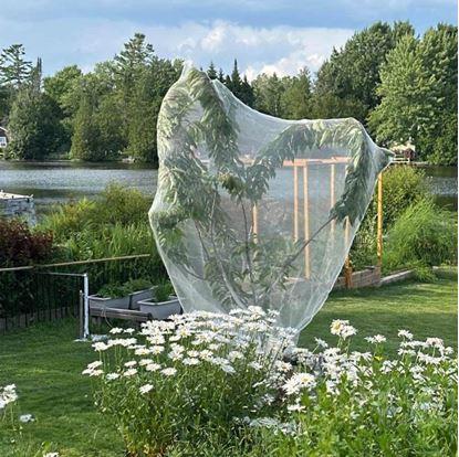 Obrázok Ochranná sieť na rastliny