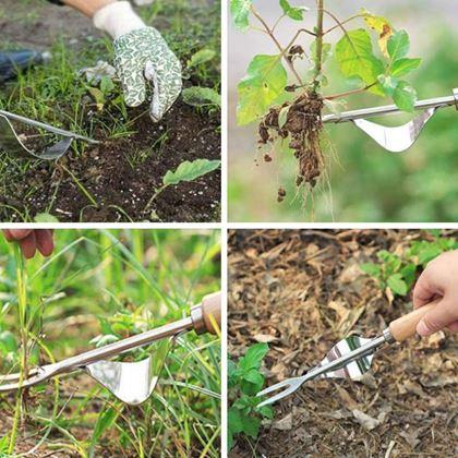 Obrázok z Vypichovač buriny s kolískou a drevenou rukoväťou