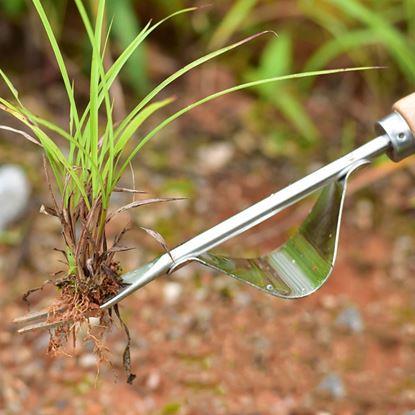 Obrázok Vypichovač buriny s kolískou a drevenou rukoväťou