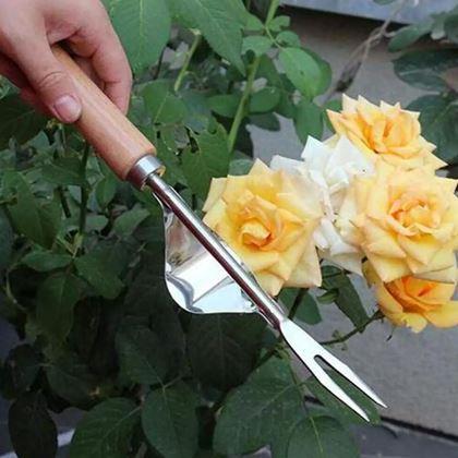 Obrázok z Vypichovač buriny s kolískou a drevenou rukoväťou