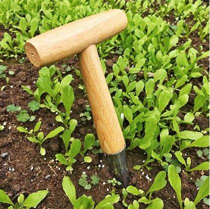 Obrázok z Zasadzovací kolík