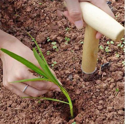 Obrázok z Zasadzovací kolík