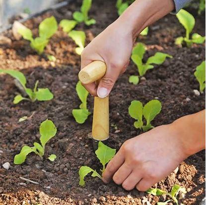 Obrázok Zasadzovací kolík