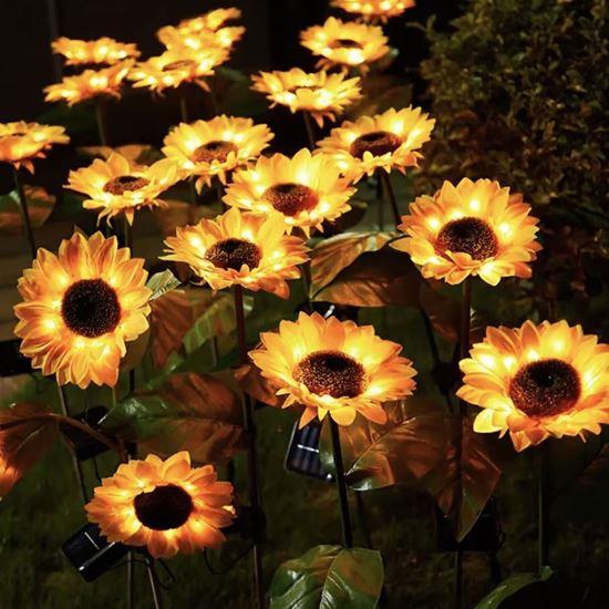 Obrázok z Solárny zápich - slnečnica