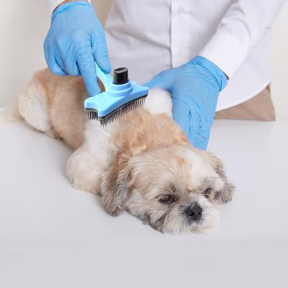 Obrázok Samočistiaca vyčesávacia kefa na chlpy/srsť