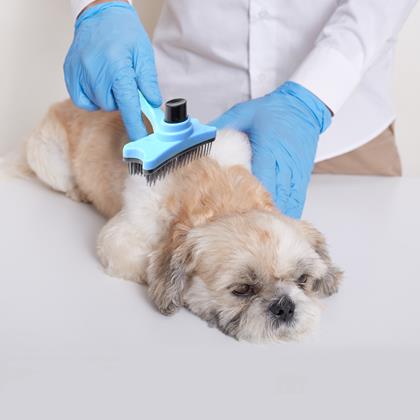 Obrázok z Samočistiaca vyčesávacia kefa na chlpy/srsť