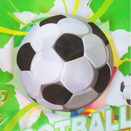 Obrázok z Futbalový vak