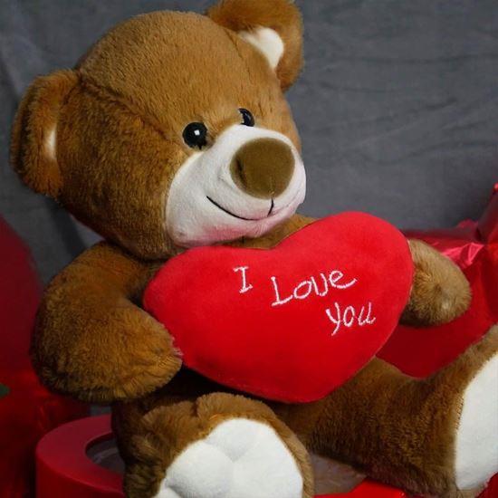 Obrázok z Plyšový medveď - Milujem ťa/I Love You