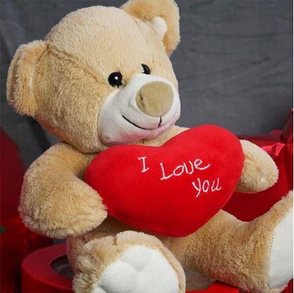 Obrázok z Plyšový medveď - Milujem ťa/I Love You