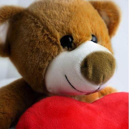 Obrázok z Plyšový medveď - Milujem ťa/I Love You