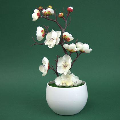Obrázok z Umelá sakura v kvetináči - 30 cm
