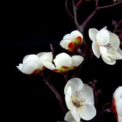 Obrázok z Umelá sakura v kvetináči - 30 cm