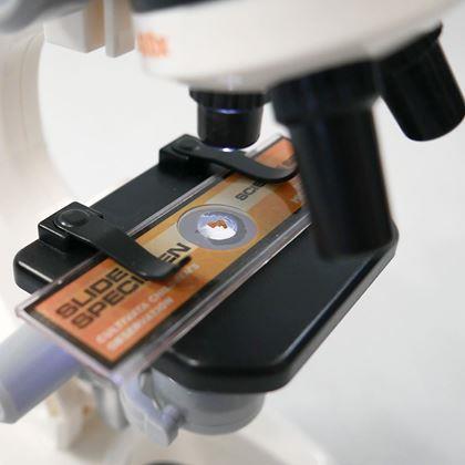 Obrázok z Vzdelávací detský mikroskop v sade s náčiním