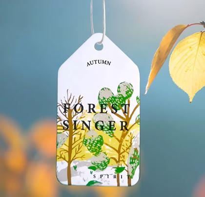 Obrázok z Vôňadlo do auta - borovica